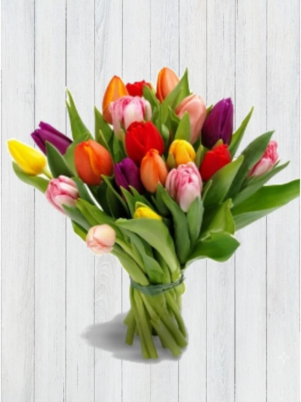 20 Mixed Tulips