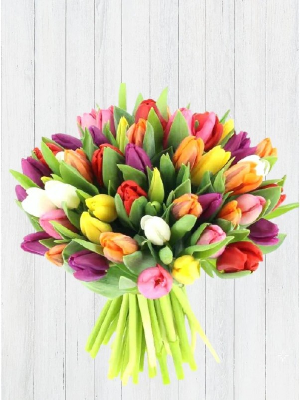 40 Mixed Tulips