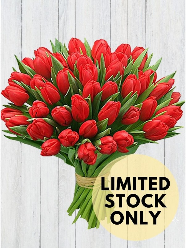 40 Red Tulips