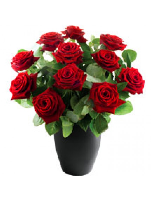 12 Deluxe Red Roses