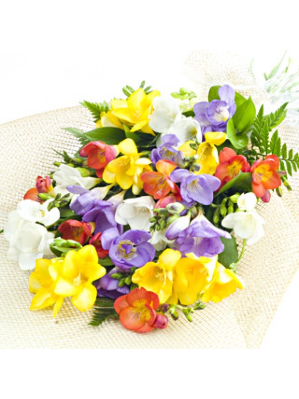 Mixed Freesia 15 Stems Delivery Dublin Ireland
