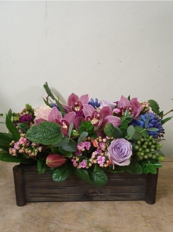 Luxury Pink Cymbidium Orchid Crate 