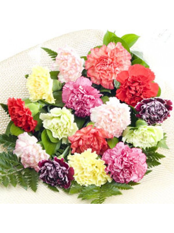 Mixed Colour Carnations
