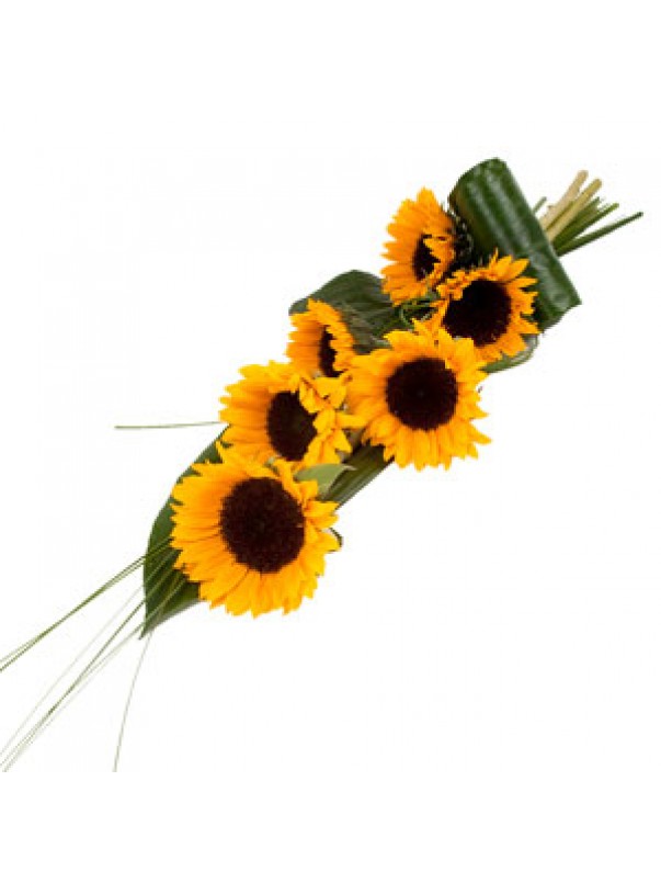 Sunflowers By The Stem