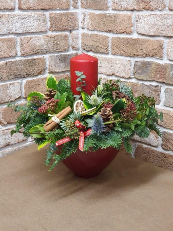 Xmas Potted Arrangement