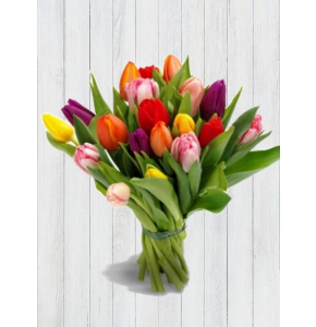 20 Mixed Tulips
