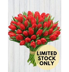 40 Red Tulips