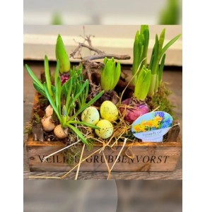 Easter Box Tray
