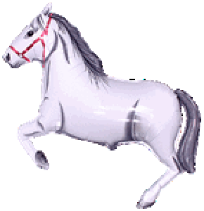 SUPER SHAPE LOOSE HORSE WHITE