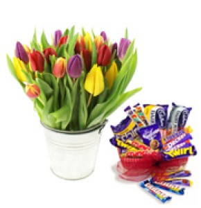 Tulips & Chocolates
