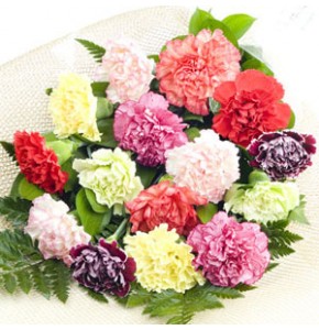Mixed Colour Carnations