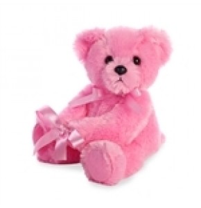 New Baby Girl Pink Teddy (14")