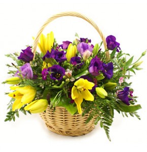 Spring Basket