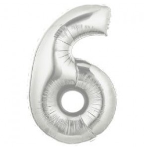 Silver Number 6
