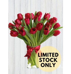  20 Red Tulips