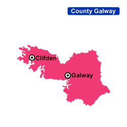 Flower Delivery Galway Areas