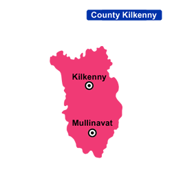 Flower Delivery Kilkenny Areas